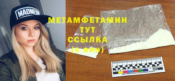 прущие грибы Рославль