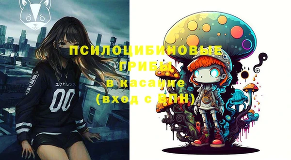 таблы Надым