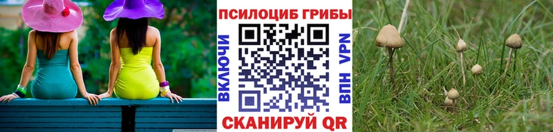 купить закладку  Уссурийск  Псилоцибиновые грибы ЛСД 