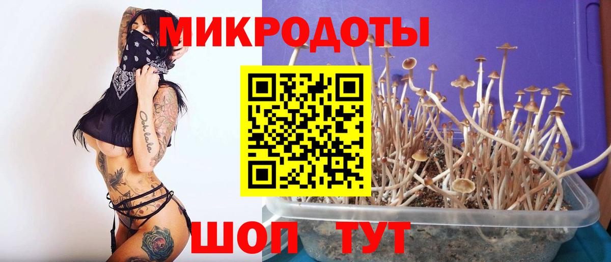 Уссурийск  Псилоцибиновые грибы MAGIC MUSHROOMS  Галлюциногенные грибы MAGIC MUSHROOMS  Вход с VPN 